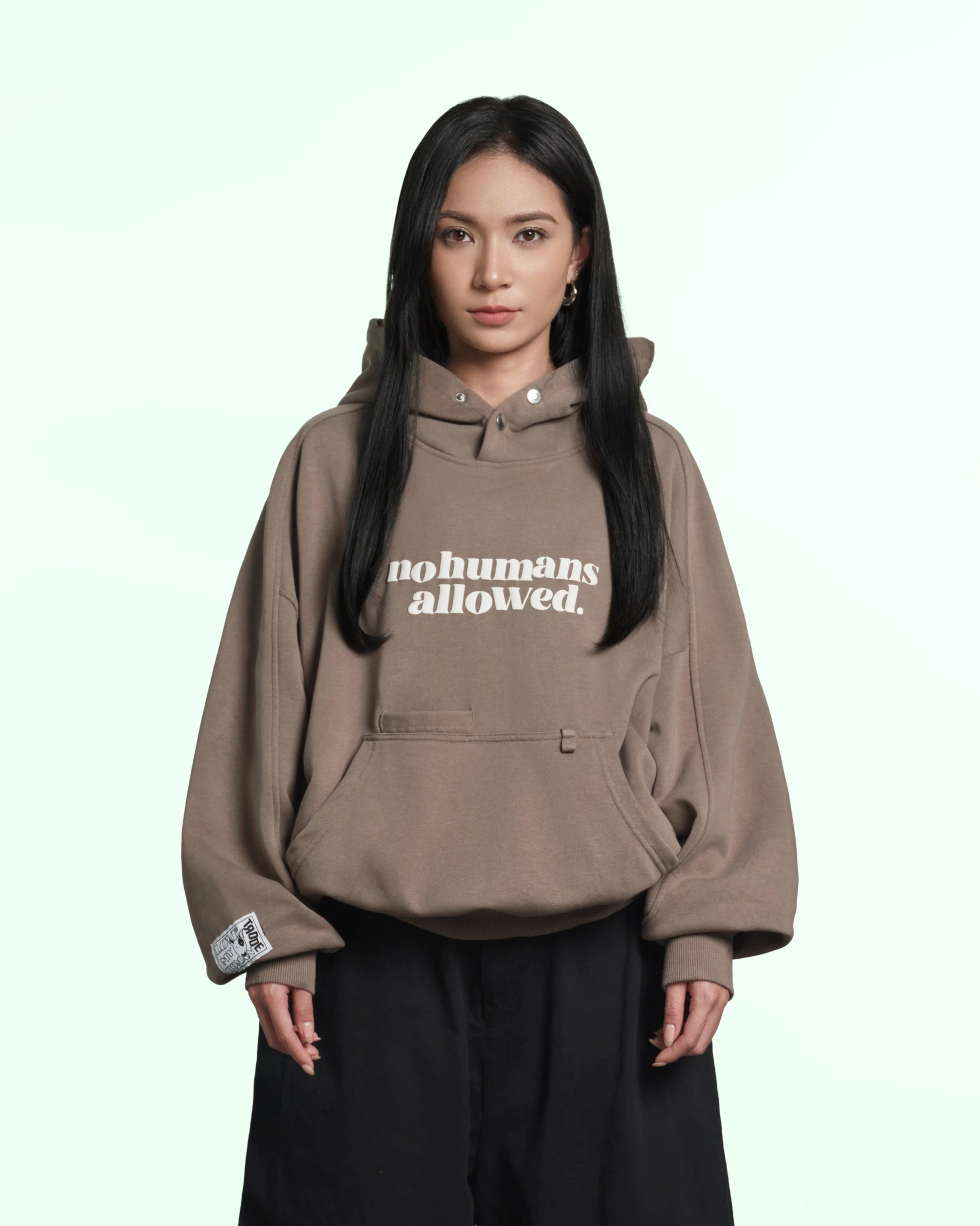 Premium Hoodie “No Human Allowed” Oversize