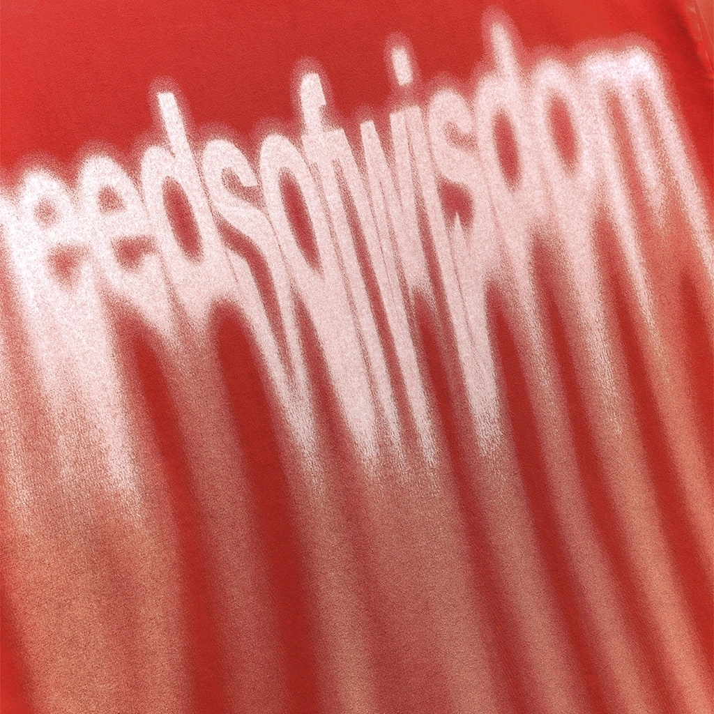 T-shirt Blur "Needs of Wisdom"